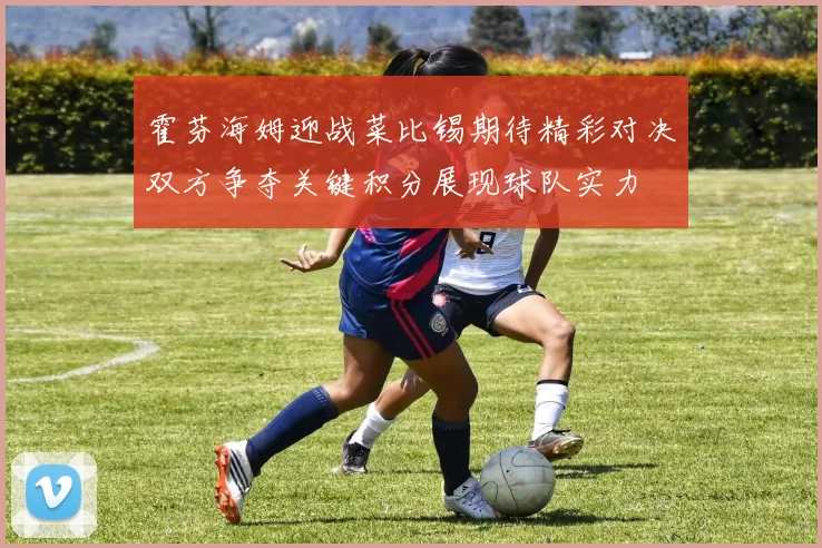 霍芬海姆迎战菜比锡期待精彩对决双方争夺关键积分展现球队实力