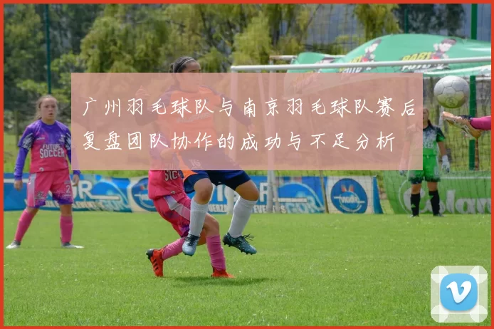 广州羽毛球队与南京羽毛球队赛后复盘团队协作的成功与不足分析