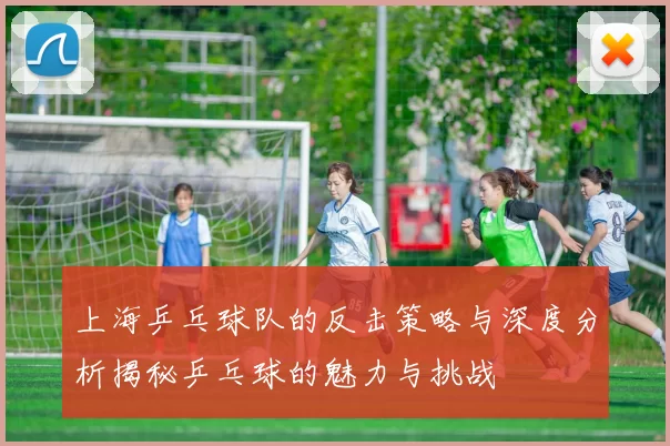 上海乒乓球队的反击策略与深度分析揭秘乒乓球的魅力与挑战