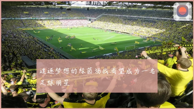 追逐梦想的绿茵场我渴望成为一名足球明星