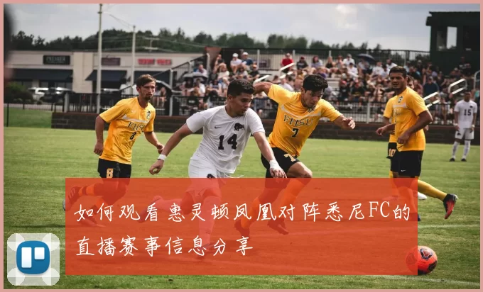 如何观看惠灵顿凤凰对阵悉尼FC的直播赛事信息分享