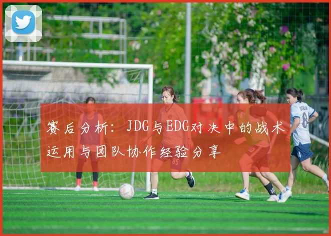 赛后分析：JDG与EDG对决中的战术运用与团队协作经验分享