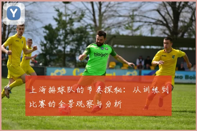 上海排球队的节奏探秘：从训练到比赛的全景观察与分析