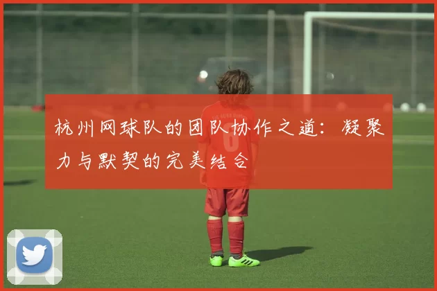 杭州网球队的团队协作之道：凝聚力与默契的完美结合