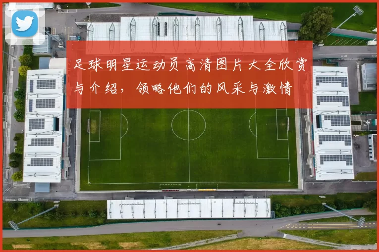 足球明星运动员高清图片大全欣赏与介绍，领略他们的风采与激情