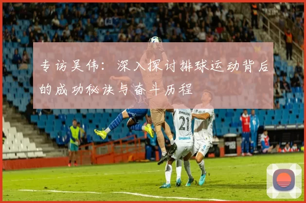 专访吴伟：深入探讨排球运动背后的成功秘诀与奋斗历程